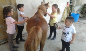L'equitazione con i pony - Centro Ippico F.M. TEAM HORSES